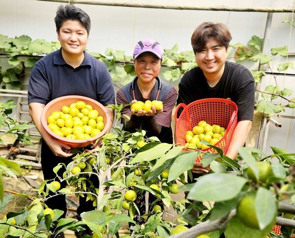 쿠팡이 귤을 매입하는 제주도의 한 농가에서 농민들이 귤을 들고 웃고 있다. [제공=쿠팡]
