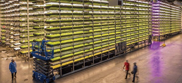 미국의 에어로팜스의 수직농장 모습. 산업통상자원부