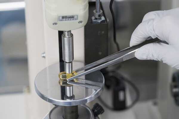 [제공=알피바이오]