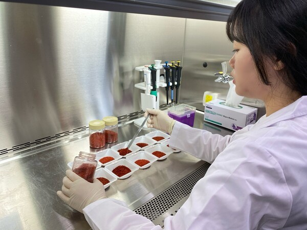 [제공=NS홈쇼핑]