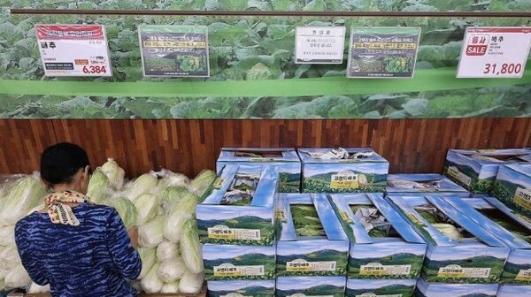 하나로마트 [제공=연합]