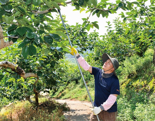 한국농어촌공사의 '경영회생지원 농지매입사업'이 본래 취지와 달리, 경영위기에 처한 농가를 대상으로 한 임대료 사업으로 전락한 것으로 드러났다. 한국농어촌공