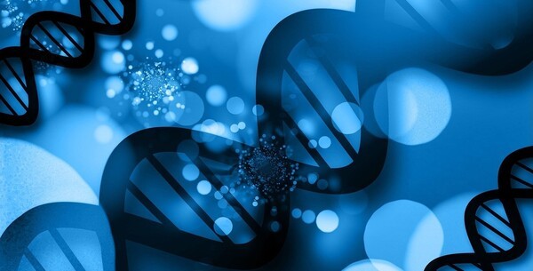 [제공=픽사베이]