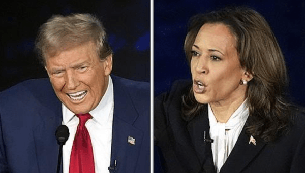 (왼쪽부터)오는 11월 5일 미국 대통령 선거 후보로 나선 도널드 트럼프 전 대통령과 카멀라 해리스 부통령. [제공=연합뉴스]