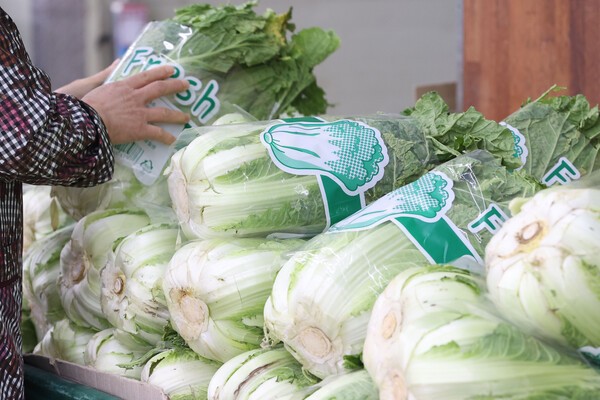 폭염과 폭우로 가을 무 재배면적이 역대 최소치를 기록한 가운데 서울의 한 대형마트에서 시민이 장을 보고 있다. 연합뉴스