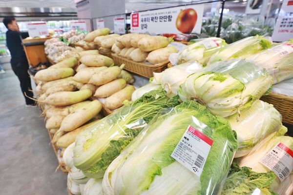 배추, 무 등 김장 채소 가격이 강세를 보인 21일 서울 시내 한 대형마트에서 시민이 배추를 살펴보고 있다. 연합뉴스
