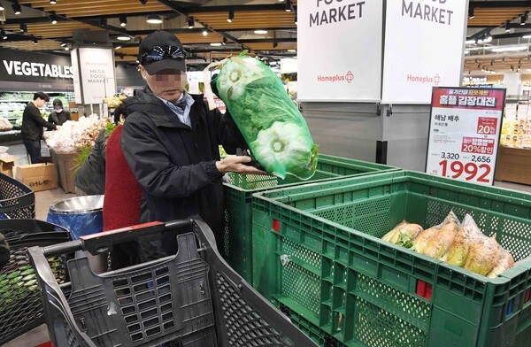 홈플러스 배추 매대에서 소비자가 상품을 카트에 옮겨 담고 있다. 홈플러스