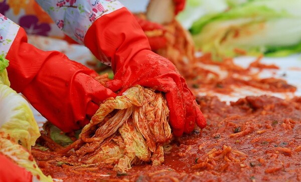 김장 물가가 안정세를 보이고 있지만 반짝 효과에 그칠 것으로 예상되고 있다. 연합뉴스