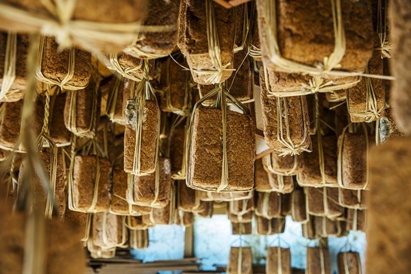 한국의 '장담그기 문화'가 유네스코 인류무형문화유산에 등재됐다. 메주가 새끼 줄에 메달려 있다. 국가유산청