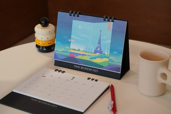 [제공=티웨이항공]