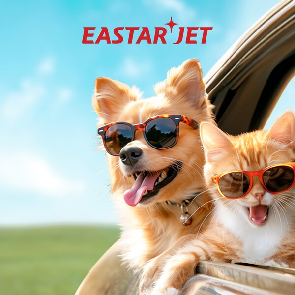 [제공=이스타항공]