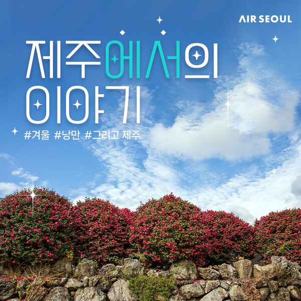 [제공=에어서울]