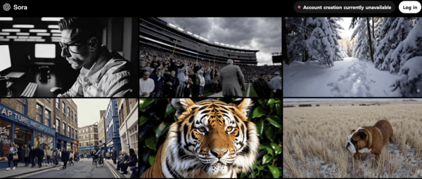 오픈AI의 동영상 서비스 '소라' 홈페이지. [출처=소라 홈페이지 캡쳐]