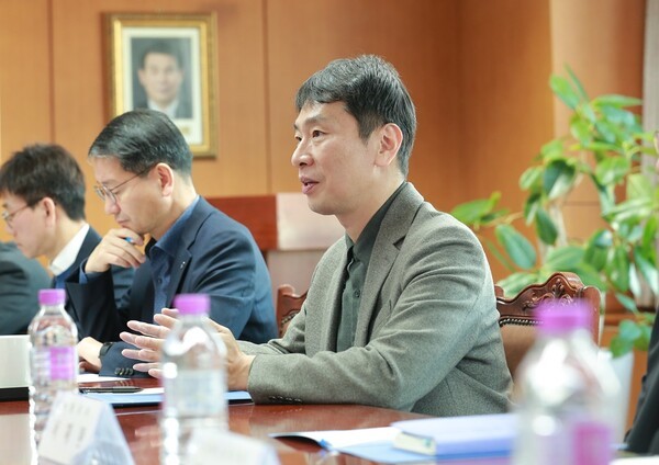 [제공=금융감독원]