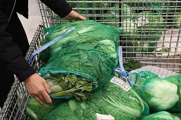 정부가 김장 채소류 중심으로 원산지 표시 일제점검을 실시하고 180개 표시위반 업체를 적발했다. 연합뉴스