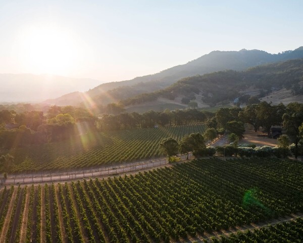 본테라 와이너리 전경. 본테라 와이너리