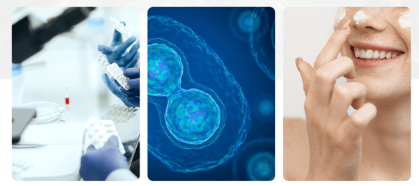 [제공=현대바이오사이언스 홈페이지]