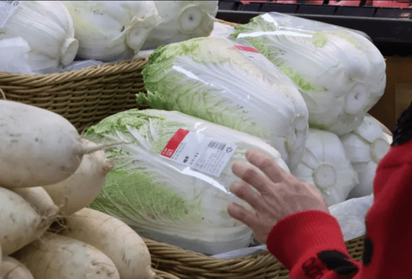 서울 한 대형마트에서 한 시민이 배추를 고르고 있다. 연합뉴스