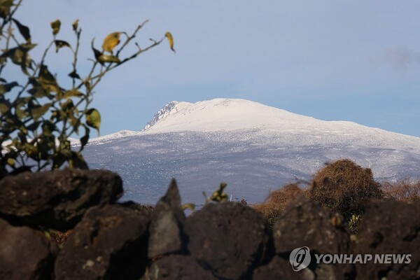 제주 돌담 너머 만설 한라산.[출처=연합뉴스]