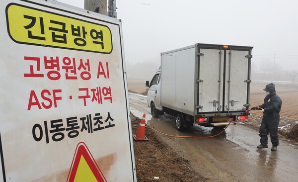 정부가 고병원성 조류인플루엔자 추가 확산을 방지하기 위해 2월 한 달간 집중 방역 관리를 실시한다. 연합뉴스