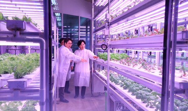 정부가 연 평균 1300건의 농산업 기술을 이전 시켰다. 사진은 메트로팜 방문한 송미령 농식품부 장관. [출처=농식품부]