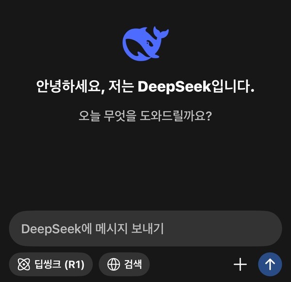 [출처=딥시크 캡쳐]