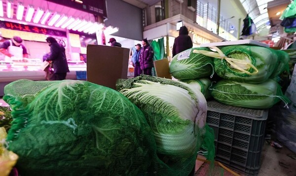 임미애 더불어민주당 의원(비례대표) 등은 최근 도매법인에 대한 규정을 강화한 ‘농수산물 유통 및 가격안정에 관한 법률(농안법)’ 개정안을 발의했다. 서울 시내 한 전통시장에 배추가 놓여 있다. [출처=연합뉴스]