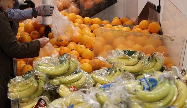 오렌지, 파인애플 등 신선과일 수입액이 작년 처음으로 14억달러(약 2조220억원)를 넘어 역대 최대를 기록한 것으로 나타났다. [출처=연합]