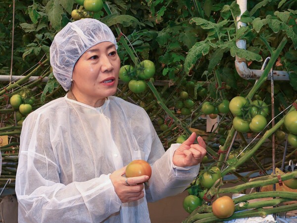 송미령 농림축산식품부 장관이 지난해 충남 홍성군 스마트팜 '옥토팜'에서 첨단 스마트농업 기술이 적용된 토마토 재배시설을 둘러보고 있다. [출처=농식품부]