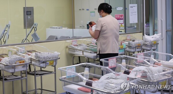 [출처=연합뉴스]