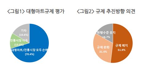 유통규제 10년, 전문가 의견 조사 [출처=대한상공회의소]