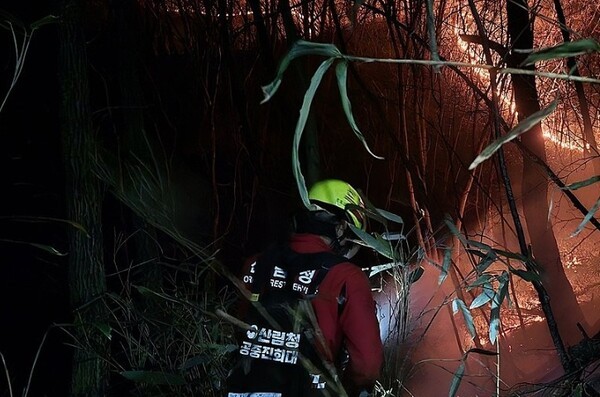 경남 산청 산불이 9일째에 접어든 가운데 마지막 남은 화선인 지리산권역 주불 진화가 좀처럼 진전을 보이지 못하고 있다. [출처=산림청]