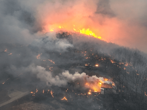 경북 의성군 대형 산불 발생 사흘째인 지난 24일 의성군 옥산면 전흥리에서 강풍을 타고 번진 산불이 민가를 덮치고 있다. [출처=연합뉴스]