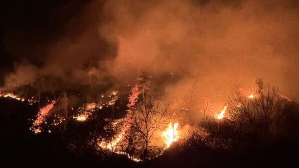 경남 산청군 시천면에서 발생한 산불. [출처=산림청]