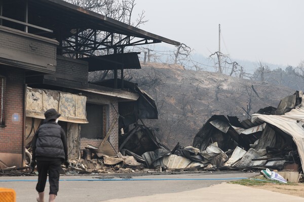 지난달 27일 화마가 온 마을을 삼켜 쑥대밭이 된 안동 임하면. 농민이 불에 탄 사과밭을 보고 있다. [출처=연합뉴스]