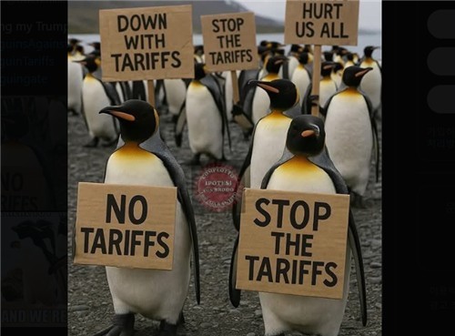 [출처=X,  연합뉴스 ]