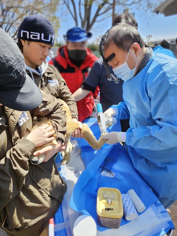 [출처=유한양행]