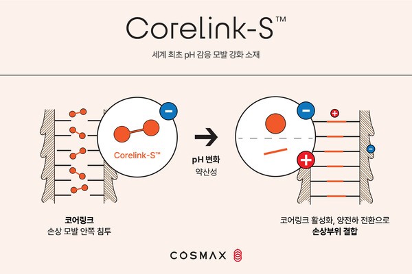 코스맥스가 세계 최초로 pH 변화에 반응해 모발을 강화하는 신규 소재 및 기술을 개발했다. [출처=코스맥스]