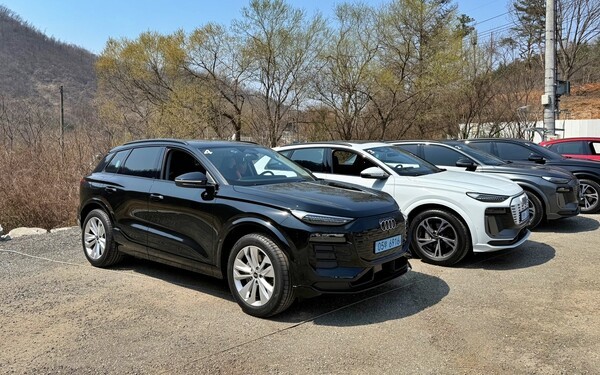 아우디 Q6 e-트론 [사진=김태준 기자]