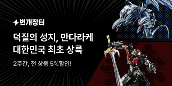 [출처=번개장터]