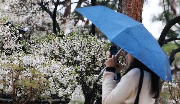 비 내리는 운현궁 [출처=연합뉴스]