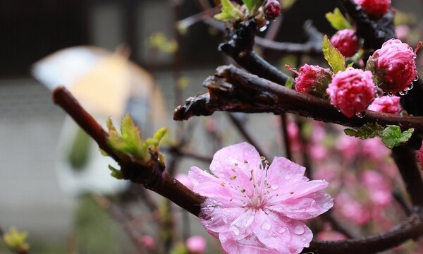 [출처=연합뉴스]