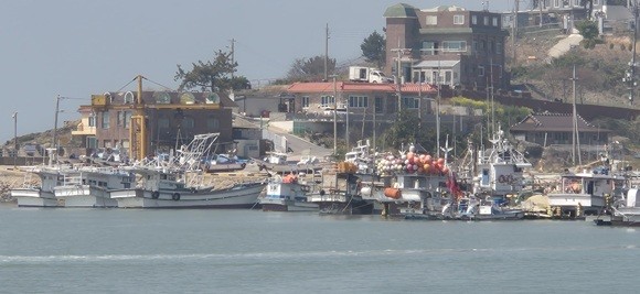 전라남도 영광군 법성포에 정박한 어선들 모습.[출처=EBN DB]