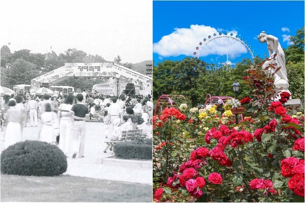                     지난 1985년 장미축제 개막 현장(왼쪽)과 최근 장미축제 현장 모습. [출처=삼성물산]