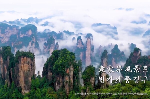 [출처=쇼핑엔티]