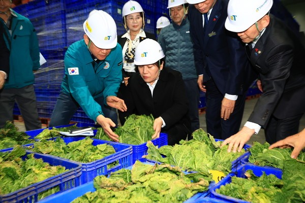 송미령 농림축산식품부 장관은 지난 1월 18일 전남 장성군 소재 정부 농산물 비축기지를 찾아 현재 보관 중인 겨울배추·무의 품위 상태를 점검했다. [출처=농식품부]