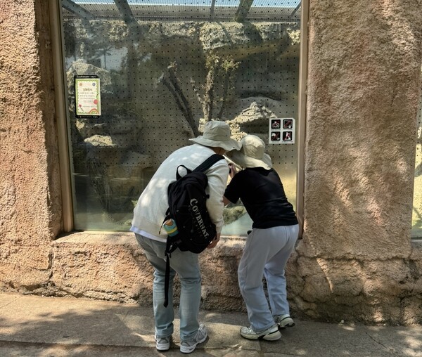 구산초등학교 학생이 어린이대공원 맹수마을에서 사진을 찍고 있다. [출처=바르고봉사단]