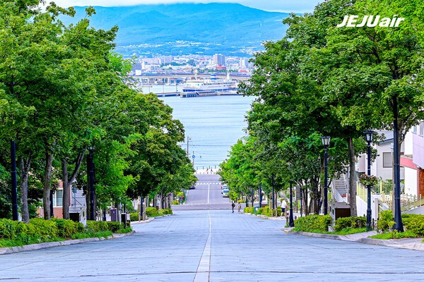 하코다테 이미지 [출처=제조항공]