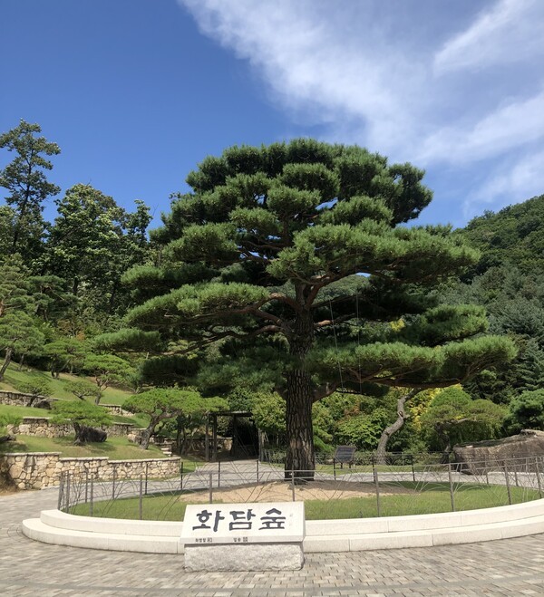 경기 광주시 곤지암읍에 위치한 화담숲. [출처=권영석 기자]