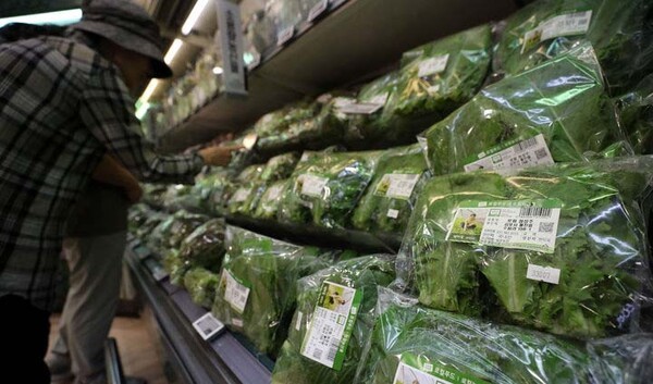 정부가 여름철 농산물 안전관리 대책을 강화한다. [출처=연합뉴스]